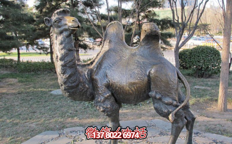 創(chuàng)意大型玻璃鋼駱駝雕塑，在草地上擺放，一眼回頭